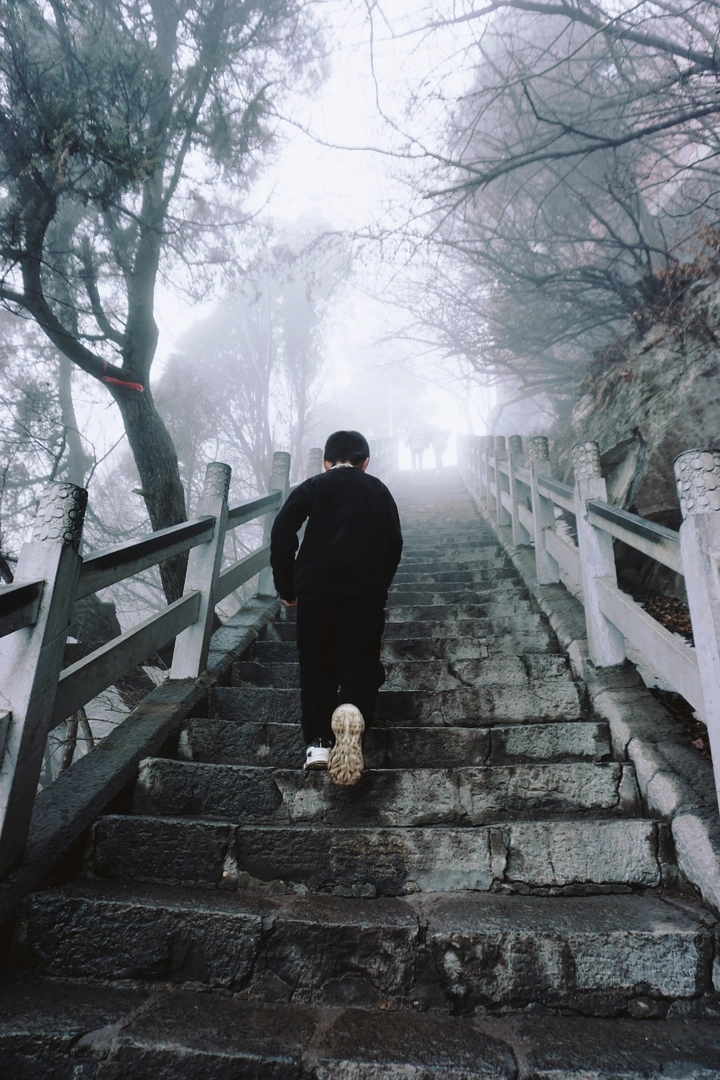 登高