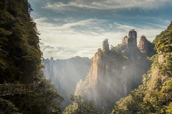 瀑布丛林中的景象