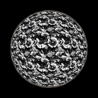 太空中的一个黑白图片 星球上有白色的花