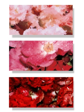 一组抽象画 以红色、粉色和白色为主色调 画中有花。
