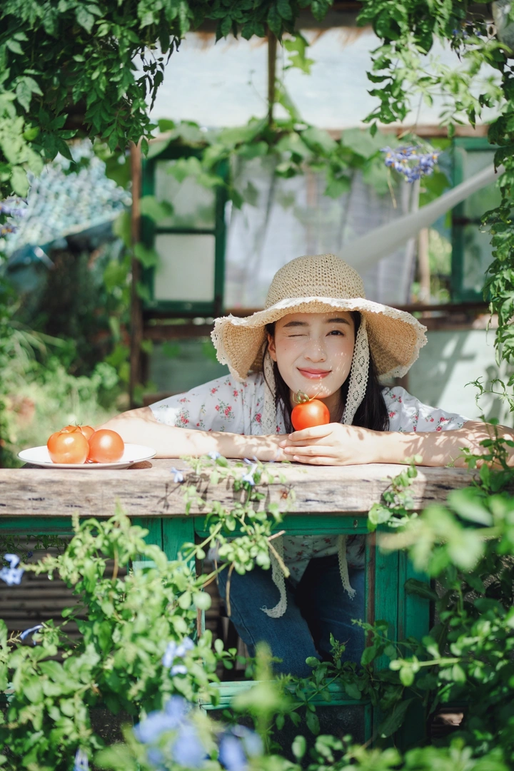 阳光如烟花般绽放