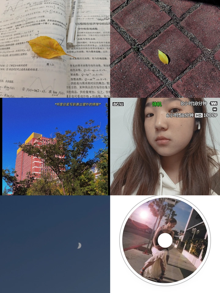 浪漫生活的记录者🌷🤳