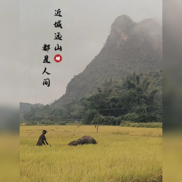 遇龙河遇烟雨