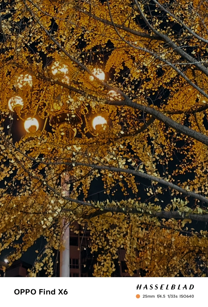 冬天的夜