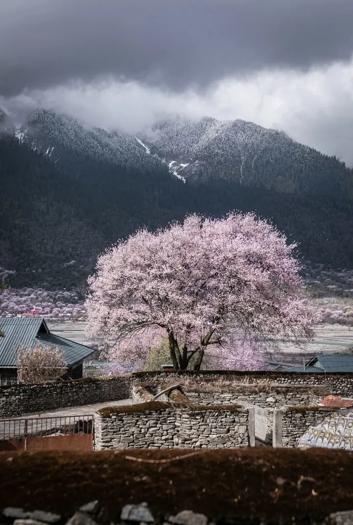 桃花沟