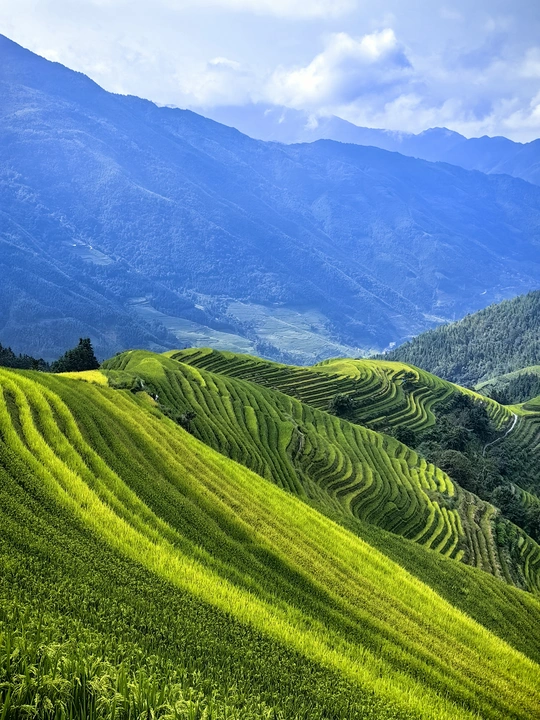 绿山和山脉的风景