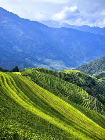 绿山和山脉的风景