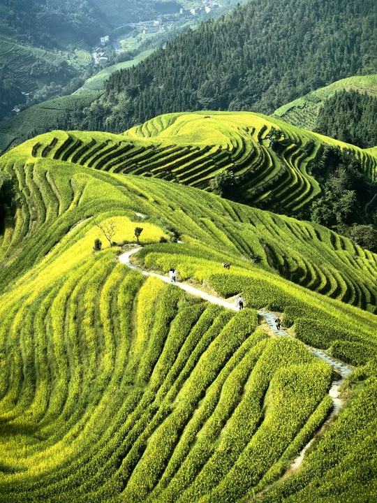 山脉中的一个绿色山谷