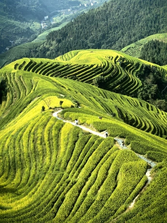 山脉中的一个绿色山谷