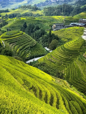 山脉中的一个绿色山谷