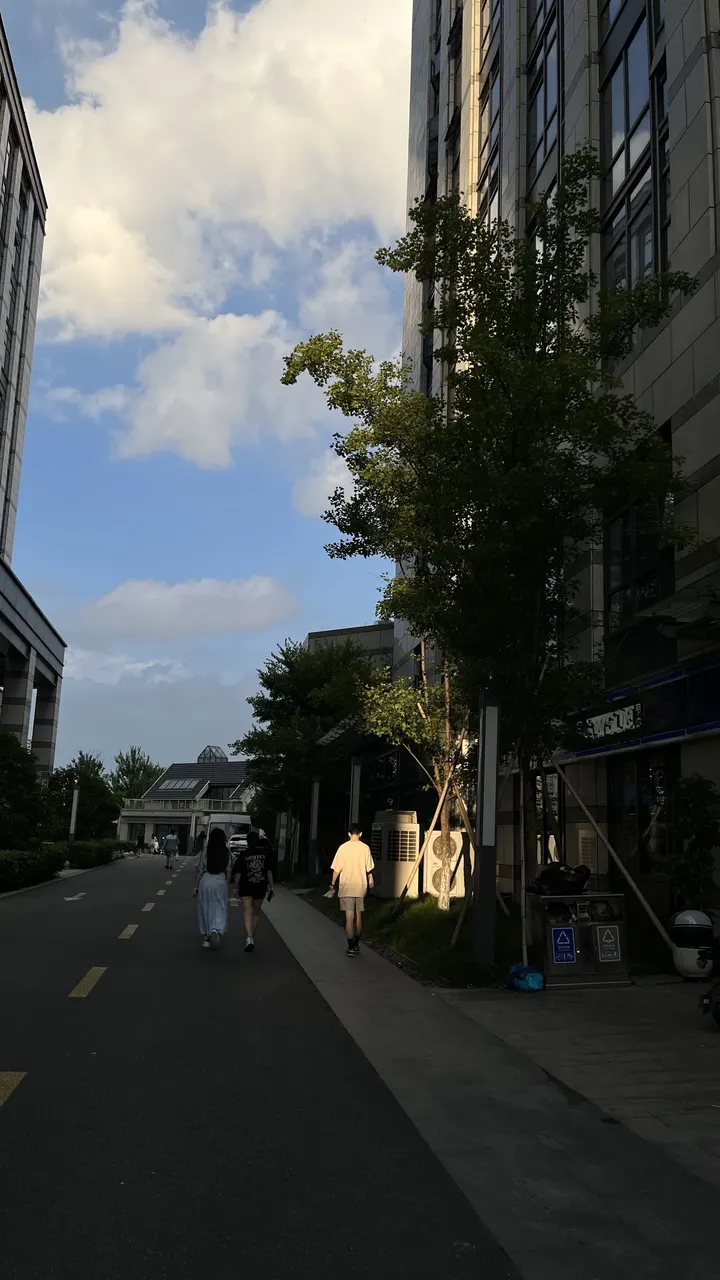 追光