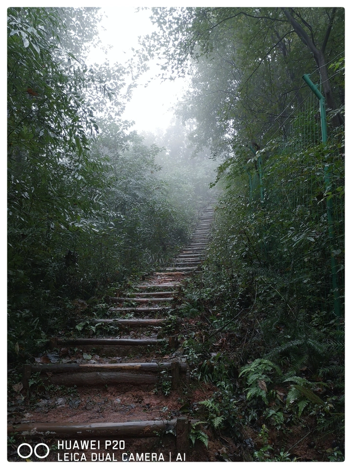 浙东“茶马古道”
