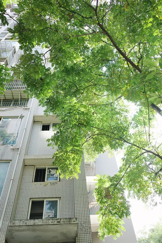 一栋高楼 有很多窗户和树。