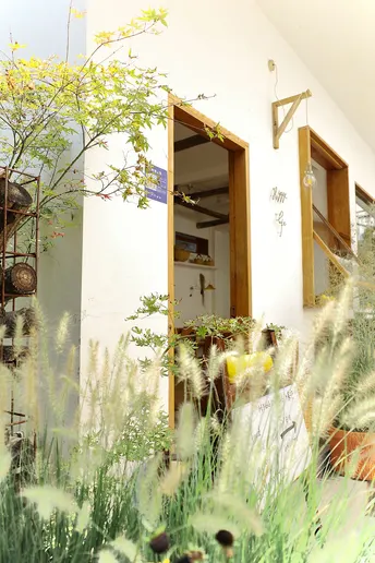 建筑物或房屋前的 tall grass and plants