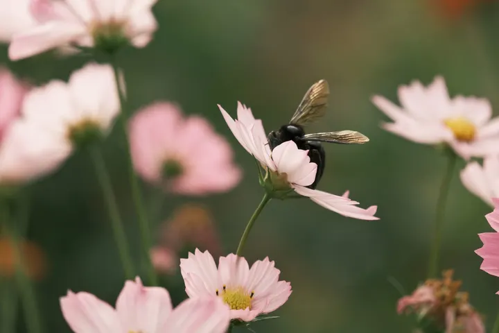 ?