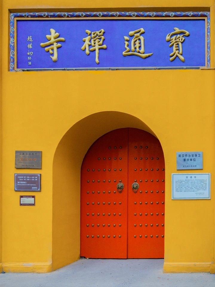 楚天以南