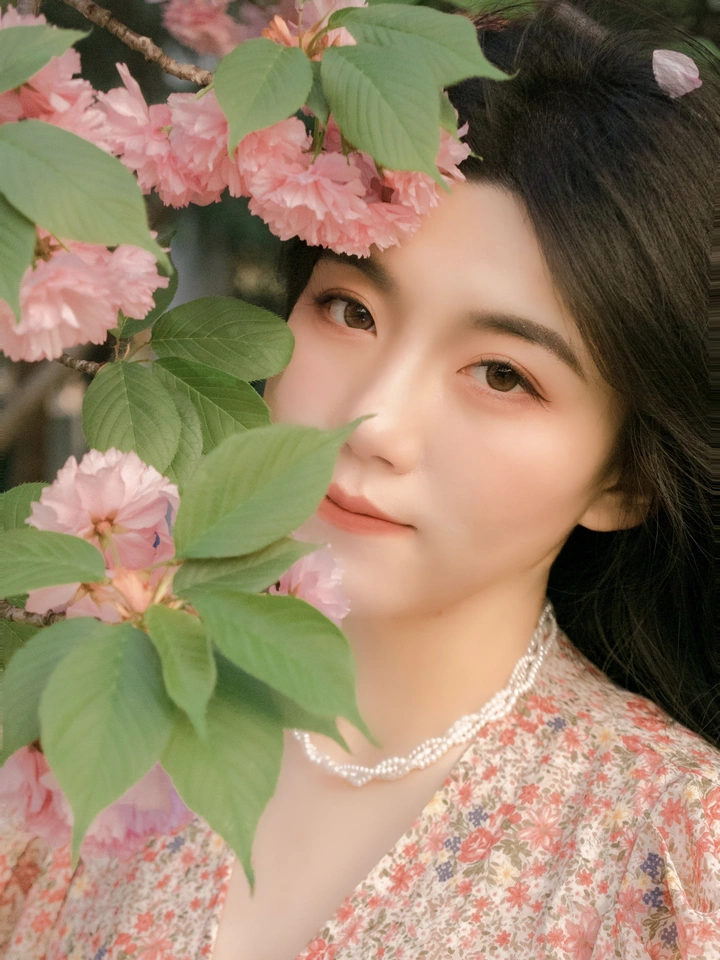 待到樱花烂漫时