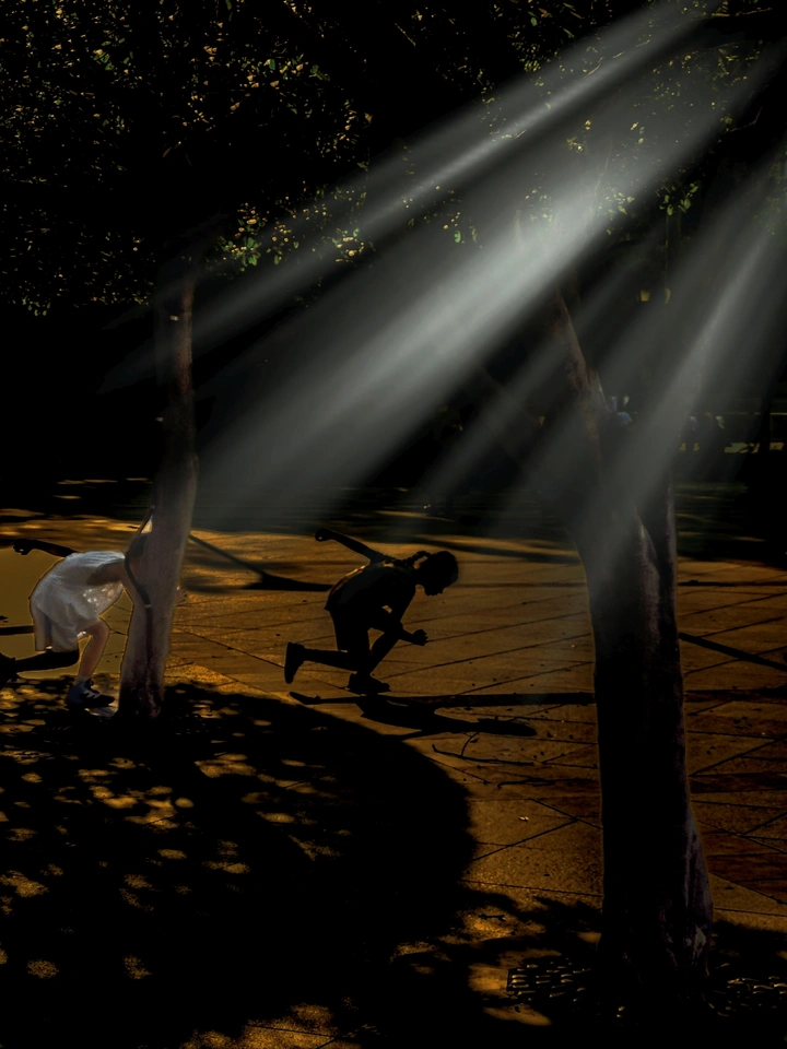 金色的光影，金色的琴弦