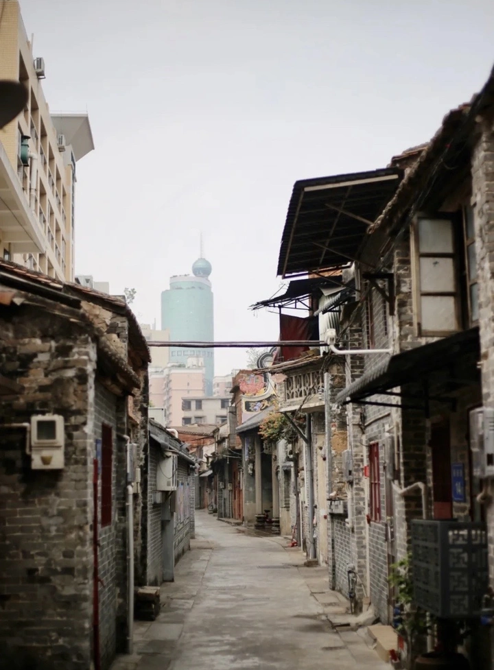 《对比》