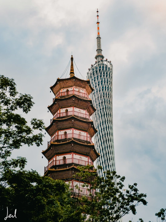 城市中有一座高塔 背景是摩天大楼和树木。