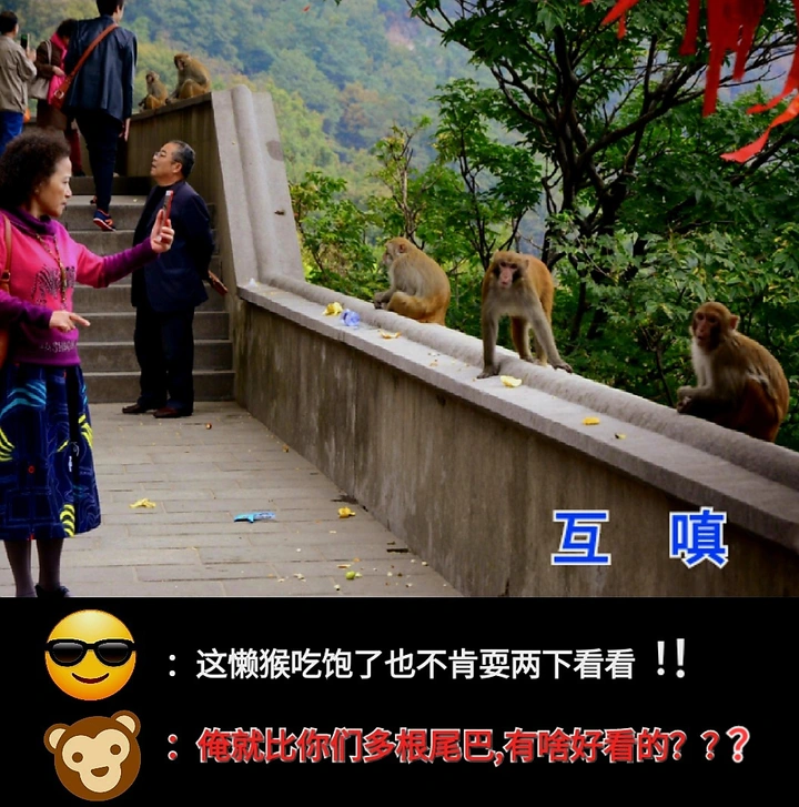 😎互👉 😂😂👈嗔🐒