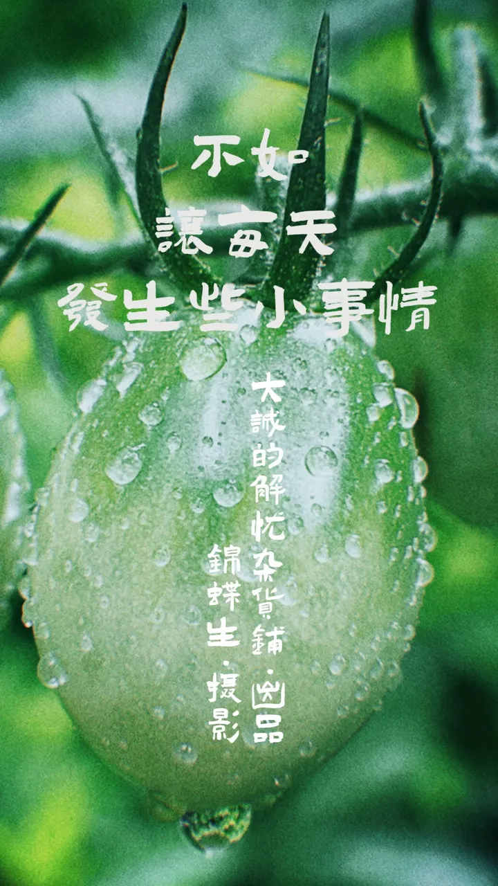 六月📷｜不如让每天发生些小事情