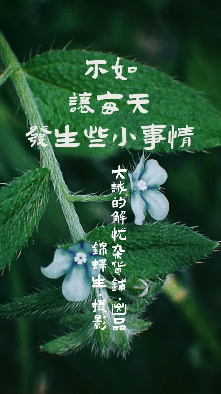 五月里📷｜回望五月，甚是喜爱这