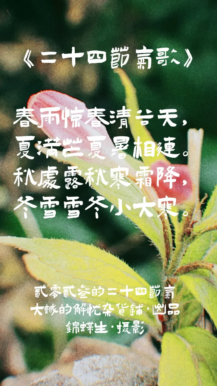 攒了一个2023年的二十四节气