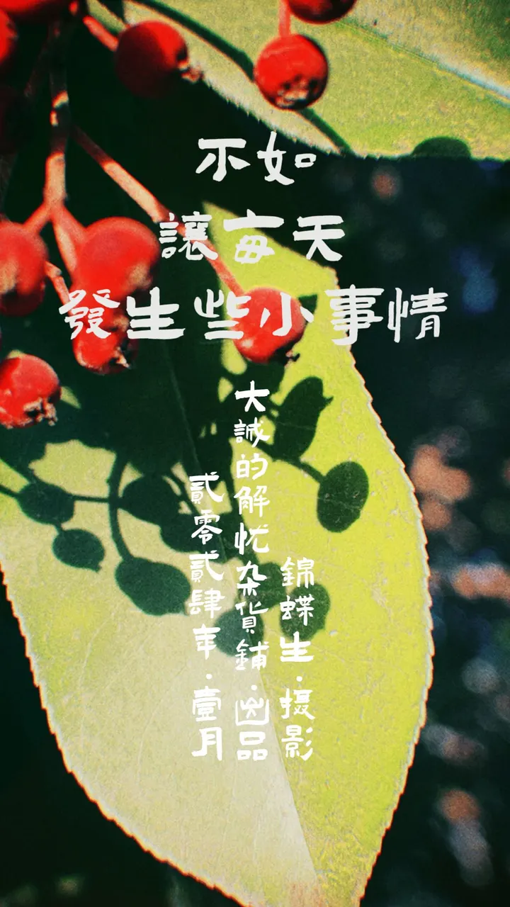 心中有诗意，处处皆风｜壹月摄影