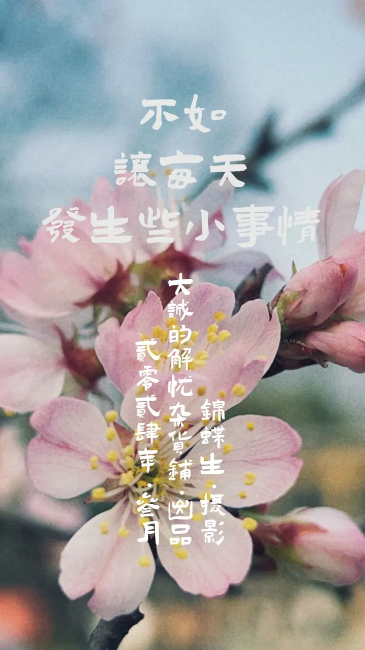 如春，色彩斑斓地活着｜叁月摄影