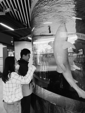 生活杂记