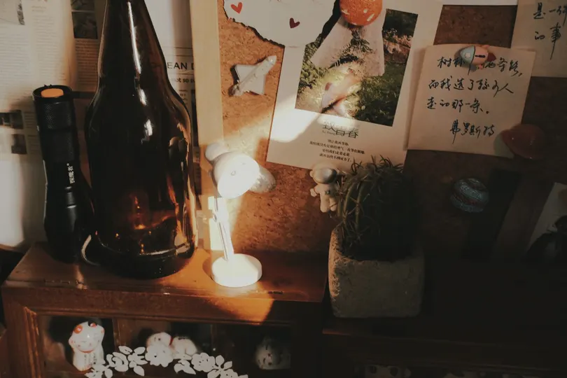 一个桌子上放着一瓶酒 一盏灯 一盆植物 一张画和一支蜡烛。