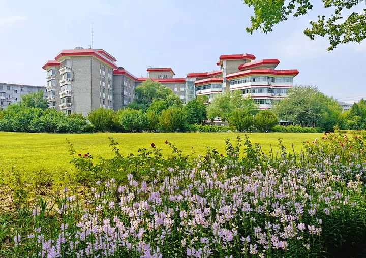 青葱校园，青涩回忆