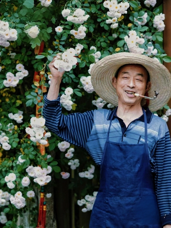 笑靥如花