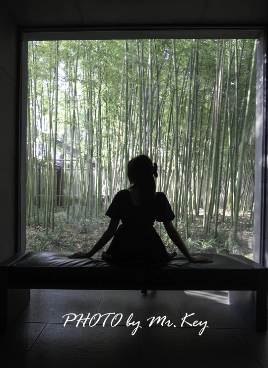 一位坐在竹林窗前的女性的剪影