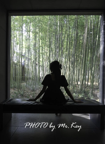 一位坐在竹林窗前的女性的剪影