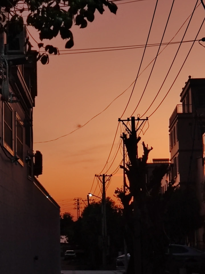 送你一片橘色天空