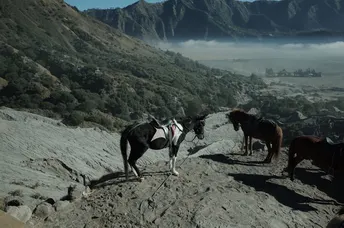 几匹马站在一个俯瞰山谷的岩石山坡上