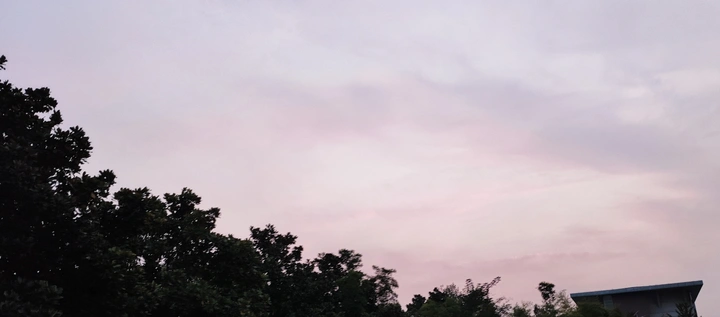 淡紫