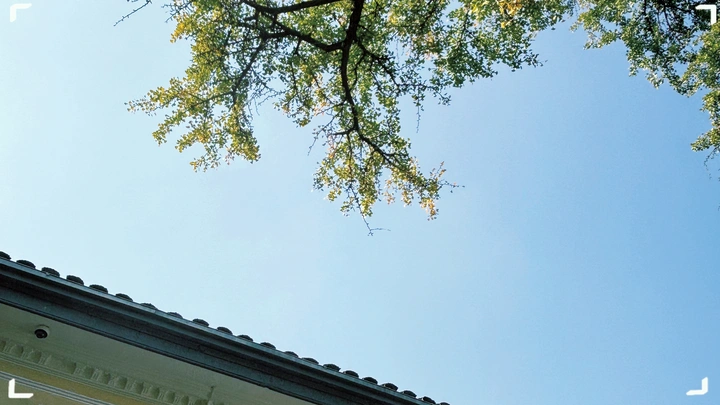 秋日私语