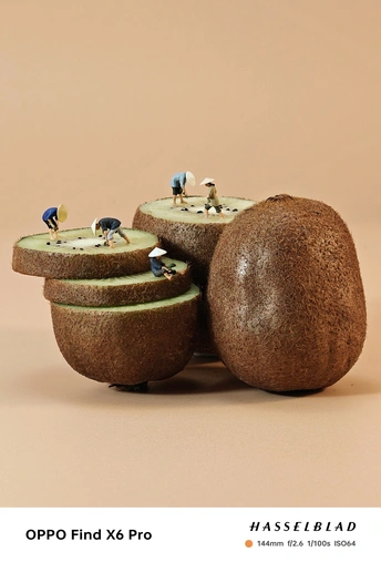 一群小鸟坐在奇异果顶部