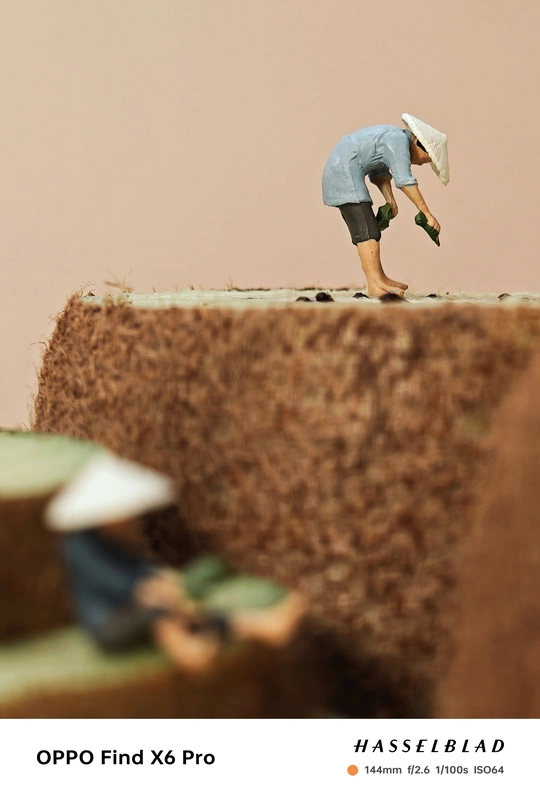 一个位于墙顶的人物塑像