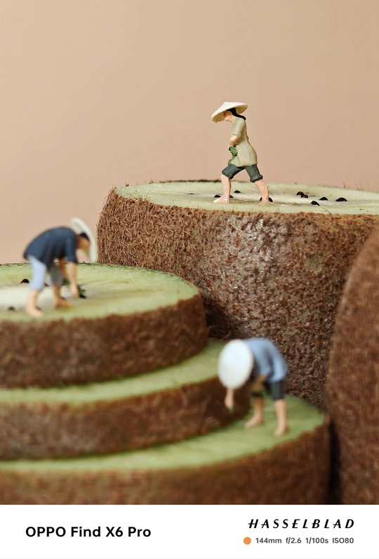 一群人站在蛋糕顶部