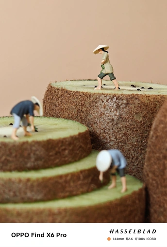 一群人站在蛋糕顶部