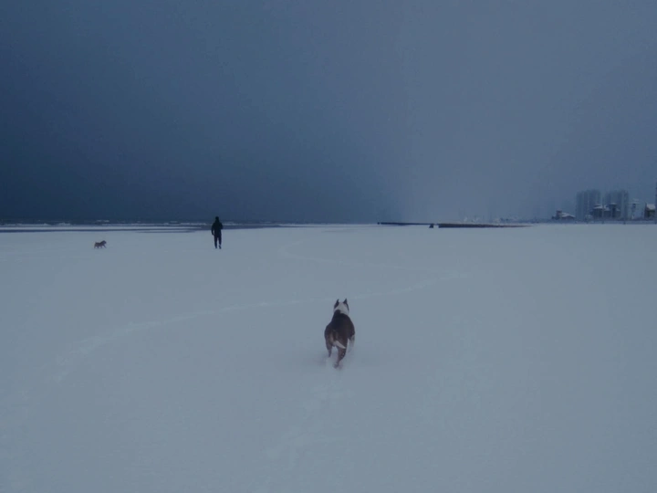 有雪的世界