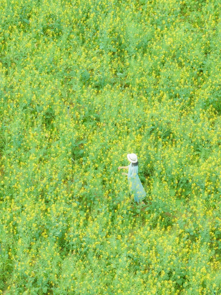 10.26今日摄影推荐