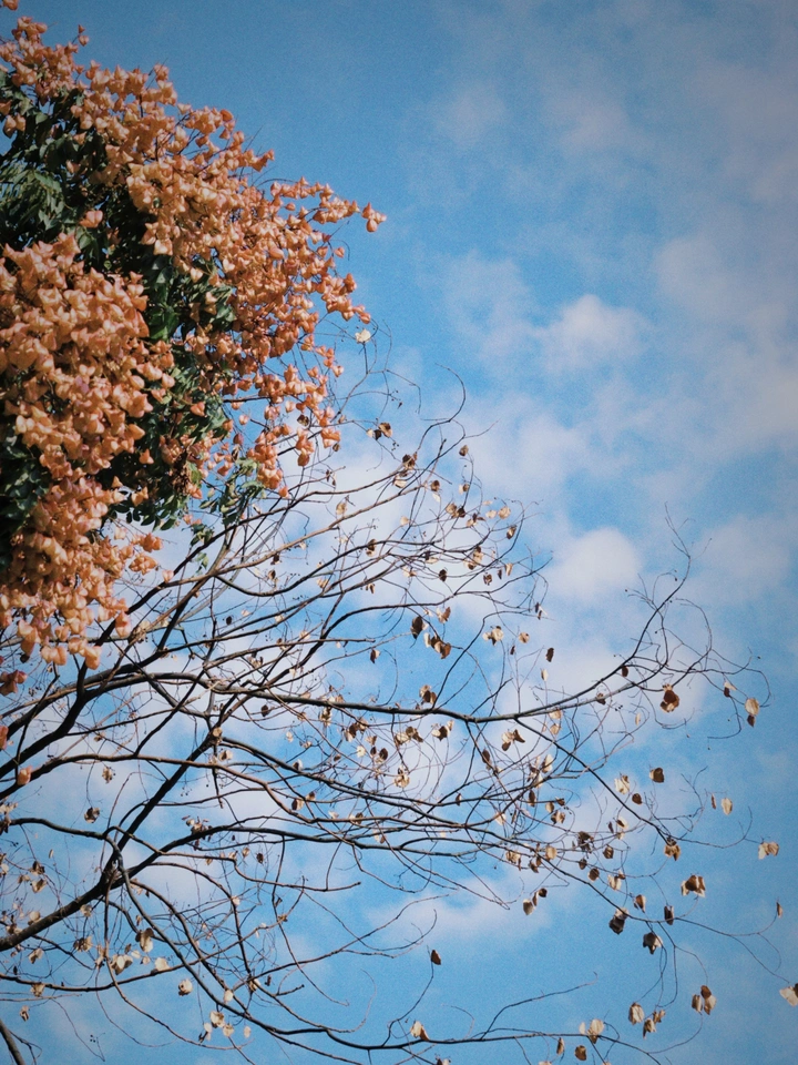 秋日晴空