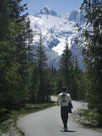 一个人在森林小径上行走 背景是山脉