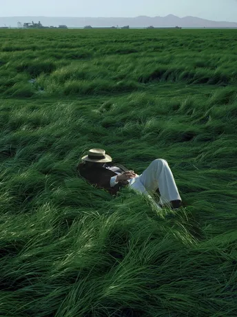 一个躺在绿草地上的人