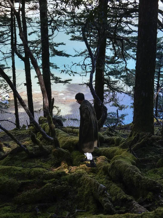 一个站在森林中的男人 周围长满了藓和树木 手里拿着灯笼。